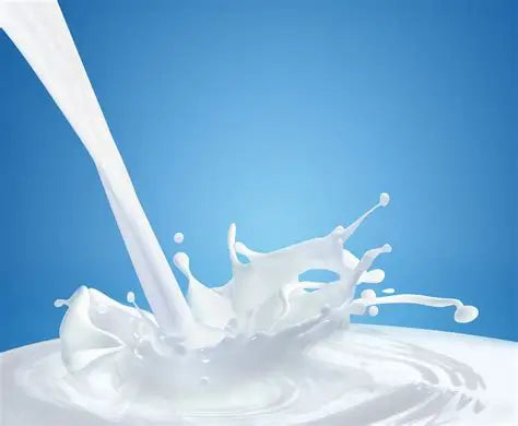 Buffalo Milk